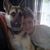 Jackie Ostrander DeGroot's profile image