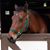 Cherie Cornmesser's profile image