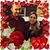 Tina Wood McVey's profile image