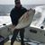 Matthew Haig's profile image