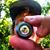 Christopher Collins's profile image
