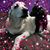 Davi Suya Grether's profile image