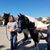 Angela Willey-Blankley's profile image