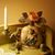 Karen Thompson's profile image