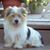 Peggy Pressel Tracy Miller's profile image
