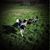 Christine Duncan's profile image