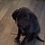 Lorna Merryfield's profile image