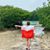 Michele Goldsmith-Vuono's profile image