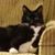 Brenda Kozak's profile image