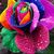 Elvira Ferrer's profile image