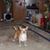 Diane Lucio's profile image