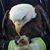 Nancy Forester's profile image