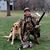 Bruce Patire's profile image