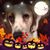 Margaux Beach's profile image