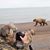 Debi Farley's profile image