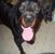 Suzy Hejka Douthit's profile image