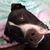 Tom Kelly's profile image