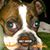 Joseph Desrosier's profile image