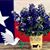 Kristense Oberle's profile image