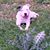 Shontavia Johnson's profile image