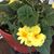 Bev Carnell's profile image