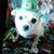 Joyce Elder Kerr's profile image