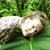 Jane Hammond Ruddick's profile image