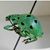 David Cornfield's profile image