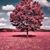 Nidya Villarroel's profile image