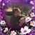 Gayle Ashbridge's profile image