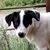 Stephen Osborn's profile image