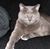 Shelley Tucker Kaye's profile image