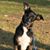 Melody Sue VanHoose's profile image