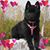 Tina Schroeder's profile image