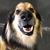 Gary Grenier's profile image