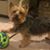 Holly Carter's profile image