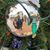 Donna Witte-Steele's profile image