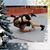 Debbie Matt Torrence's profile image