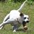 Sherri Littrell's profile image
