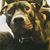 Ryan Benson's profile image
