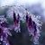 Jenny Marie Lemmon's profile image
