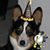 Jamie Hagedorn's profile image