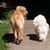 Deb Silvius Parsons's profile image