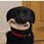 Julios Caesar's profile image