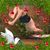 Rick Beasley's profile image