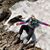 Brisa Gessenia Jimenez's profile image
