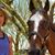 Barbara Nicholson Carrubba's profile image