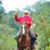 Rick Mckay's profile image