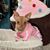 Lisa Campagna's profile image