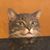 Leeza Farrel's profile image